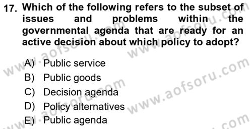 Public Policy Dersi 2023 - 2024 Yılı (Vize) Ara Sınav Soruları 17. Soru