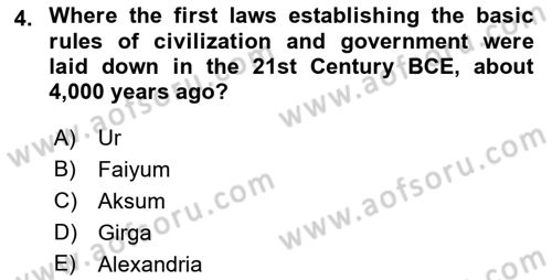 Public Policy Dersi 2023 - 2024 Yılı (Vize) Ara Sınav Soruları 4. Soru