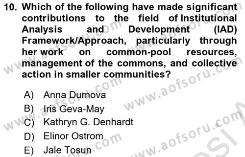 Public Policy Dersi 2024 - 2025 Yılı (Vize) Ara Sınav Soruları 10. Soru