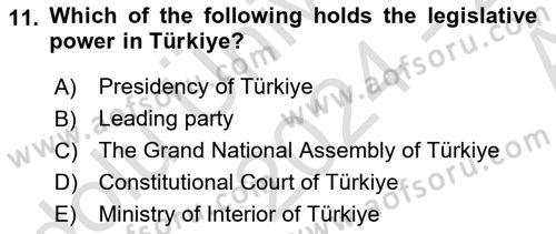 Public Policy Dersi 2024 - 2025 Yılı (Vize) Ara Sınav Soruları 11. Soru