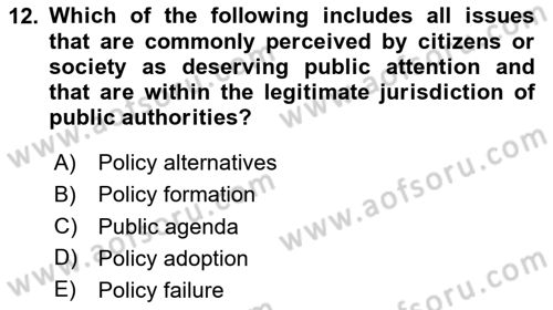 Public Policy Dersi 2024 - 2025 Yılı (Vize) Ara Sınav Soruları 12. Soru