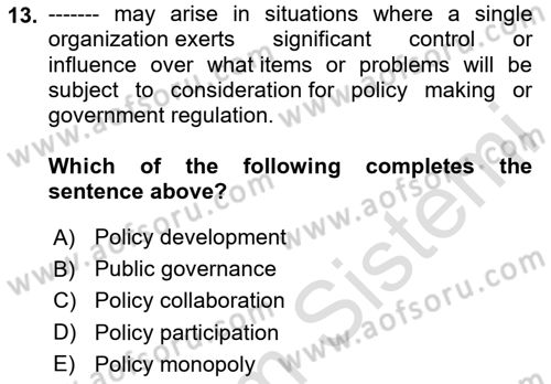 Public Policy Dersi 2024 - 2025 Yılı (Vize) Ara Sınav Soruları 13. Soru