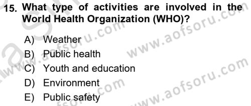Public Policy Dersi 2024 - 2025 Yılı (Vize) Ara Sınav Soruları 15. Soru