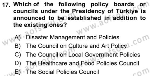 Public Policy Dersi 2024 - 2025 Yılı (Vize) Ara Sınav Soruları 17. Soru