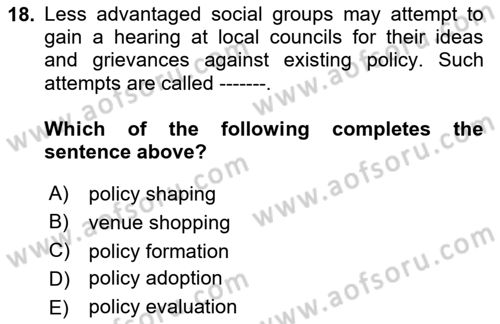 Public Policy Dersi 2024 - 2025 Yılı (Vize) Ara Sınav Soruları 18. Soru