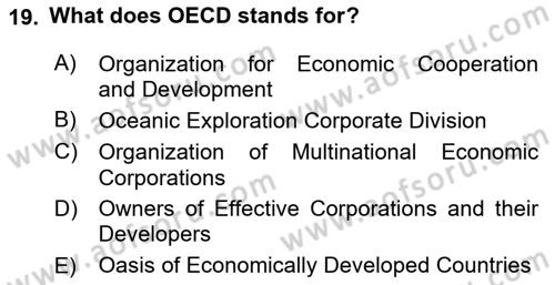 Public Policy Dersi 2024 - 2025 Yılı (Vize) Ara Sınav Soruları 19. Soru