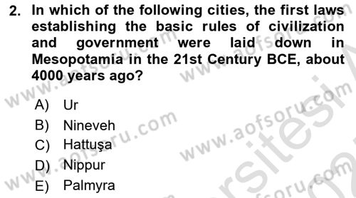 Public Policy Dersi 2024 - 2025 Yılı (Vize) Ara Sınav Soruları 2. Soru