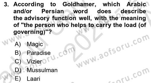 Public Policy Dersi 2024 - 2025 Yılı (Vize) Ara Sınav Soruları 3. Soru