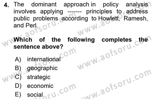 Public Policy Dersi 2024 - 2025 Yılı (Vize) Ara Sınav Soruları 4. Soru