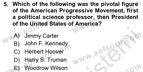 Public Policy Dersi 2024 - 2025 Yılı (Vize) Ara Sınav Soruları 5. Soru