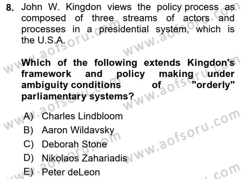 Public Policy Dersi 2024 - 2025 Yılı (Vize) Ara Sınav Soruları 8. Soru