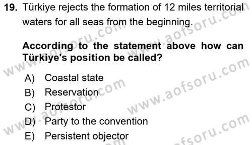 International Law Dersi 2023 - 2024 Yılı (Vize) Ara Sınav Soruları 19. Soru