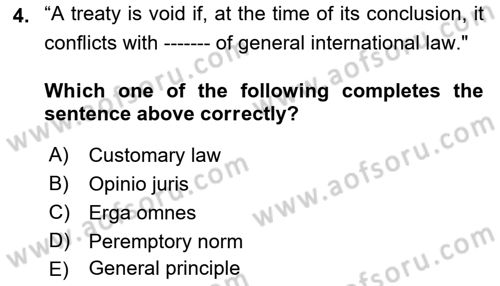 International Law Dersi 2023 - 2024 Yılı (Vize) Ara Sınav Soruları 4. Soru