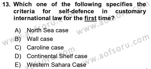 International Law Dersi 2023 - 2024 Yılı Yaz Okulu Sınav Soruları 13. Soru