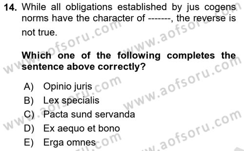 International Law Dersi 2023 - 2024 Yılı Yaz Okulu Sınav Soruları 14. Soru