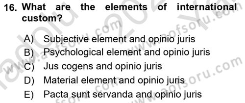 International Law Dersi 2023 - 2024 Yılı Yaz Okulu Sınav Soruları 16. Soru