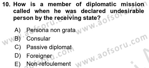 International Law Dersi 2024 - 2025 Yılı (Vize) Ara Sınav Soruları 10. Soru