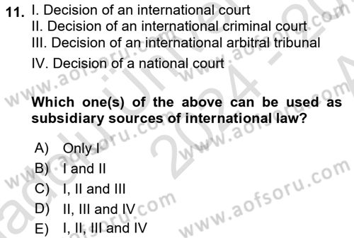 International Law Dersi 2024 - 2025 Yılı (Vize) Ara Sınav Soruları 11. Soru