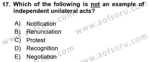 International Law Dersi 2024 - 2025 Yılı (Vize) Ara Sınav Soruları 17. Soru