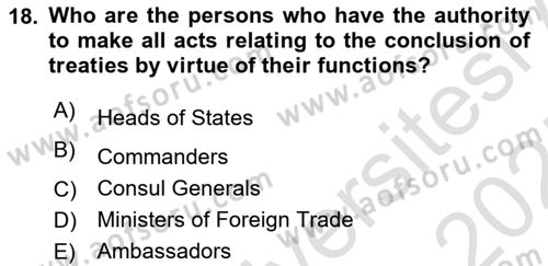 International Law Dersi 2024 - 2025 Yılı (Vize) Ara Sınav Soruları 18. Soru