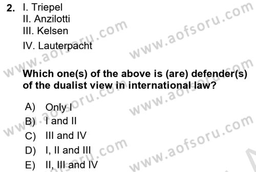 International Law Dersi 2024 - 2025 Yılı (Vize) Ara Sınav Soruları 2. Soru