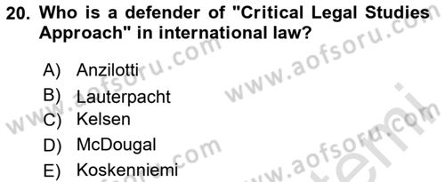International Law Dersi 2024 - 2025 Yılı (Vize) Ara Sınav Soruları 20. Soru