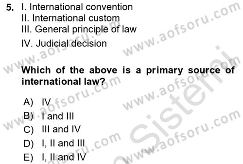International Law Dersi 2024 - 2025 Yılı (Vize) Ara Sınav Soruları 5. Soru