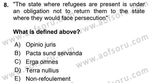 International Law Dersi 2024 - 2025 Yılı (Vize) Ara Sınav Soruları 8. Soru