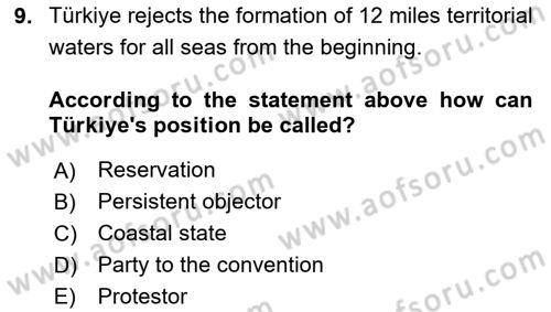 International Law Dersi 2024 - 2025 Yılı (Vize) Ara Sınav Soruları 9. Soru