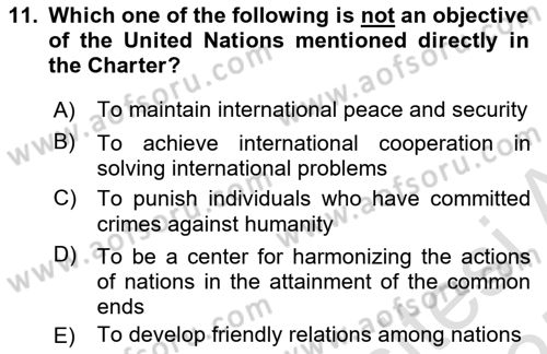 International Law Dersi Dönem Sonu Sınavı Deneme Sınav Soruları 11. Soru