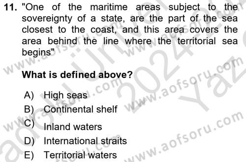 International Law Dersi 2024 - 2025 Yılı Yaz Okulu Sınav Soruları 11. Soru