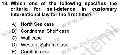 International Law Dersi 2024 - 2025 Yılı Yaz Okulu Sınav Soruları 13. Soru