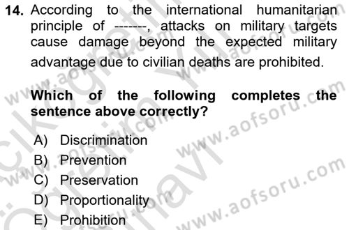 International Law Dersi 2024 - 2025 Yılı Yaz Okulu Sınav Soruları 14. Soru