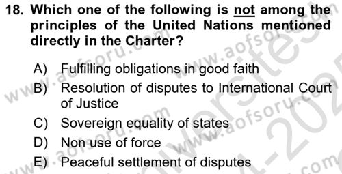 International Law Dersi 2024 - 2025 Yılı Yaz Okulu Sınav Soruları 18. Soru