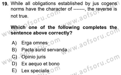 International Law Dersi 2024 - 2025 Yılı Yaz Okulu Sınav Soruları 19. Soru