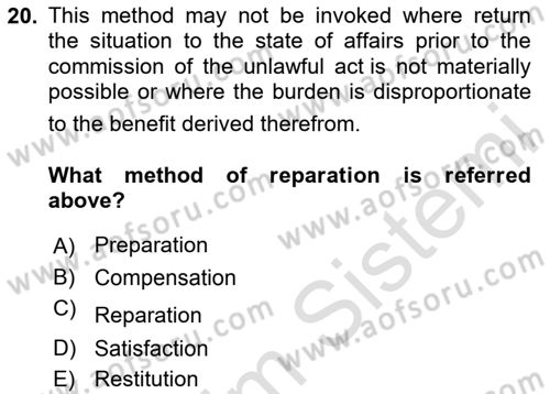 International Law Dersi 2024 - 2025 Yılı Yaz Okulu Sınav Soruları 20. Soru