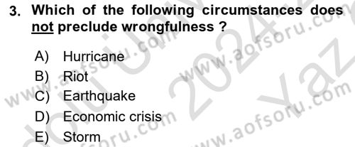 International Law Dersi 2024 - 2025 Yılı Yaz Okulu Sınav Soruları 3. Soru