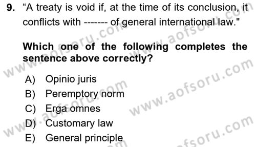 International Law Dersi 2024 - 2025 Yılı Yaz Okulu Sınav Soruları 9. Soru
