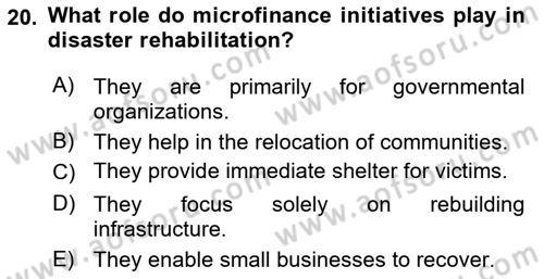 Disaster And Crisis Management Dersi 2024 - 2025 Yılı (Vize) Ara Sınav Soruları 20. Soru