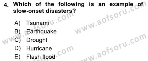 Disaster And Crisis Management Dersi 2024 - 2025 Yılı (Vize) Ara Sınav Soruları 4. Soru
