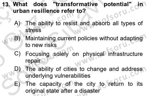 Disaster And Crisis Management Dersi 2024 - 2025 Yılı (Final) Dönem Sonu Sınav Soruları 13. Soru
