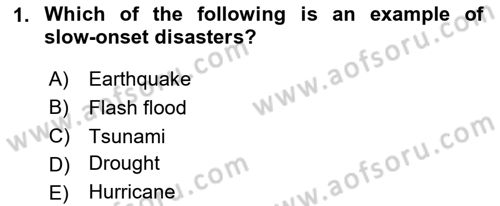 Disaster And Crisis Management Dersi 2024 - 2025 Yılı Yaz Okulu Sınav Soruları 1. Soru