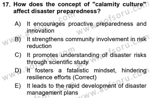 Disaster And Crisis Management Dersi 2024 - 2025 Yılı Yaz Okulu Sınav Soruları 17. Soru