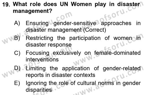 Disaster And Crisis Management Dersi 2024 - 2025 Yılı Yaz Okulu Sınav Soruları 19. Soru