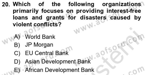 Disaster And Crisis Management Dersi 2024 - 2025 Yılı Yaz Okulu Sınav Soruları 20. Soru