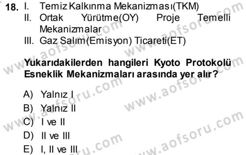Çevre Sorunları ve Politikaları Dersi 2013 - 2014 Yılı (Vize) Ara Sınav Soruları 18. Soru