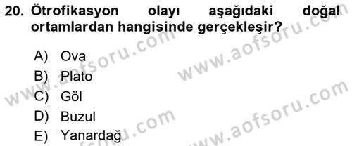 Çevre Sorunları ve Politikaları Dersi 2016 - 2017 Yılı 3 Ders Sınav Soruları 20. Soru