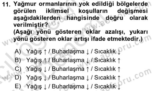 Çevre Sorunları ve Politikaları Dersi 2017 - 2018 Yılı (Vize) Ara Sınav Soruları 11. Soru