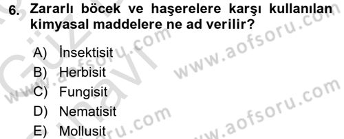 Çevre Sorunları ve Politikaları Dersi 2017 - 2018 Yılı (Vize) Ara Sınav Soruları 6. Soru