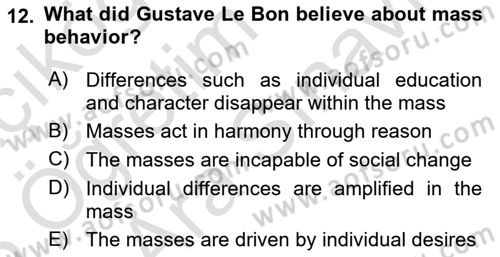 Contemporary Political İdeologies Dersi 2024 - 2025 Yılı (Vize) Ara Sınav Soruları 12. Soru